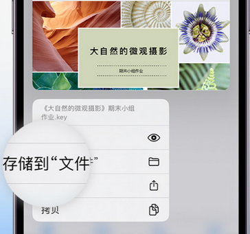 南湖apple维修中心分享iPhone文件应用中存储和找到下载文件