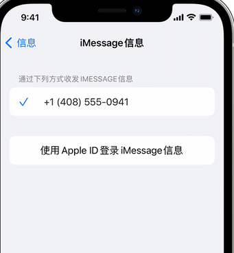 南湖apple维修iPhone上无法正常发送iMessage信息 