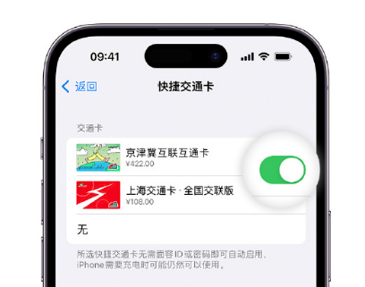 南湖apple维修点分享iPhone上更换Apple Pay快捷交通卡手绘卡面 