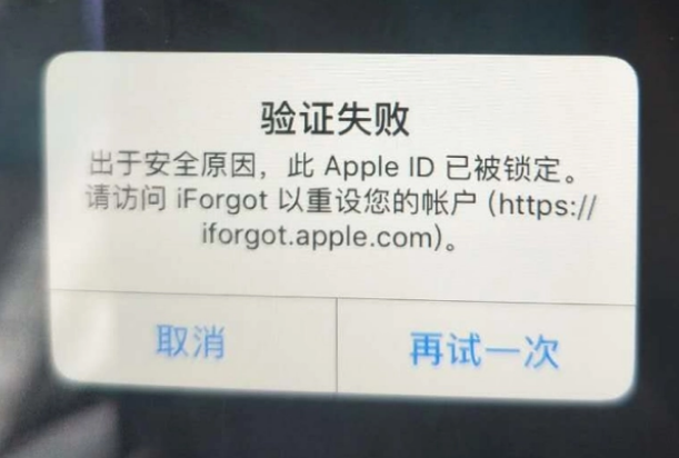 南湖iPhone维修分享iPhone上正常登录或使用AppleID怎么办 