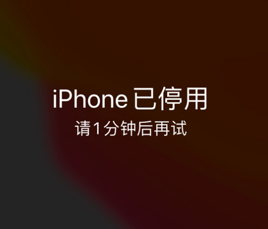 南湖苹果手机维修分享:iPhone 显示“不可用”或“已停用”怎么办？还能保留数据吗？ 