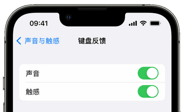 南湖苹果手机维修分享iPhone 14触感键盘使用方法 