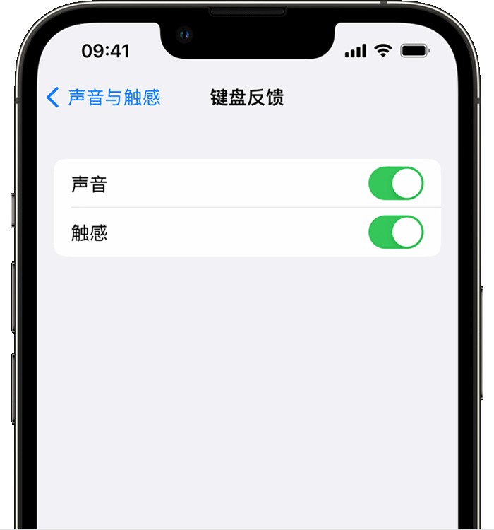 南湖苹果14维修店分享如何在 iPhone 14 机型中使用触感键盘 