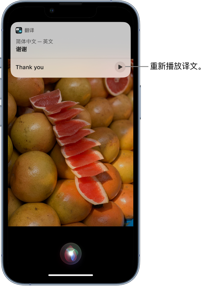 南湖苹果14维修分享 iPhone 14 机型中使用 Siri：了解 Siri 能帮你做什么 