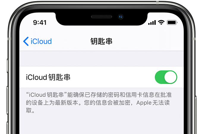 南湖苹果手机维修分享在 iPhone 上开启 iCloud 钥匙串之后会储存哪些信息 