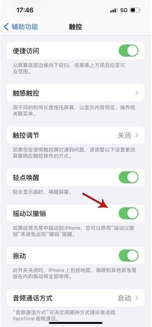 南湖苹果手机维修分享iPhone手机如何设置摇一摇删除文字 